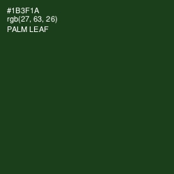 #1B3F1A - Palm Leaf Color Image